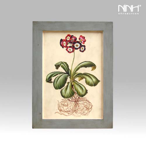 BOTANICAL HAND-PAINTING